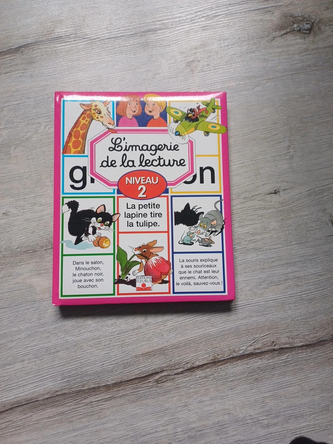 Livre l'imagerie de la lecture niveau 2 la petite lapine tire la tulipe
